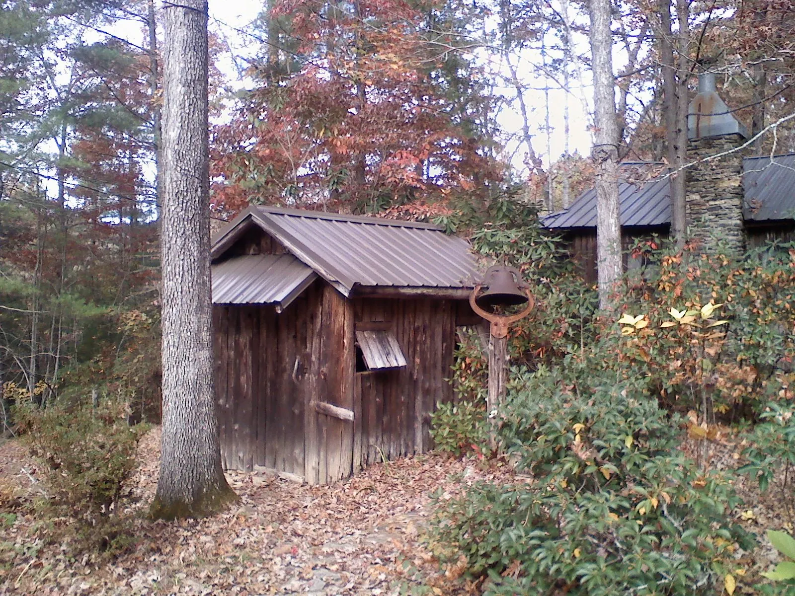 Small metal roof on a rough sawn shed in the woods in Cave Creek